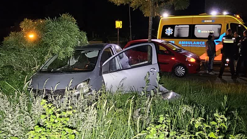 Automobiliste Rijdt Boom En Verkeersbord Omver In Ulft